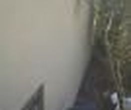 CT Peintre image 9