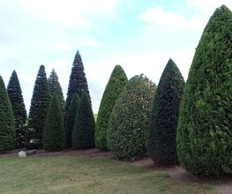 No Limit Gartengestaltung Bild 2