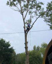 Jardin De La Côte image 7