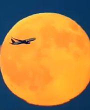 Dacher Bruno image 3