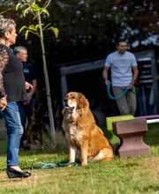 Agil'Canin 36 image 6