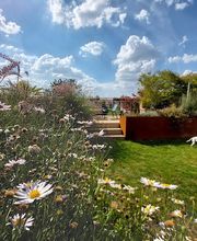 Bärtschi Gartenbau AG Bild 4