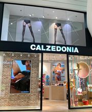 Calzedonia imagen 1
