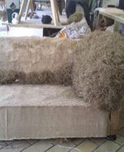 Raffier Brice image 5