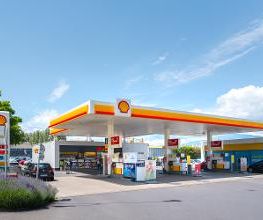 Shell Bild 8