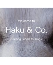 Haku & Co Hundeschule Bild 4