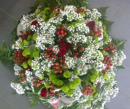 Audrey Fleurs image 10