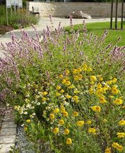 Sack Wolfgang Dipl.-Ing. (FH) Bild 7