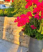 Mahrer Gartenbau GmbH Bild 10