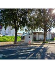 Wenea imagen 2