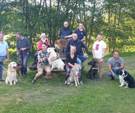 Amis Dogs 76 image 1