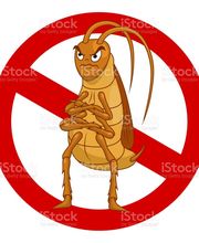 Logissain Vosges image 1