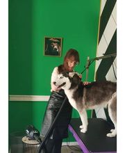 Baker Street image 6