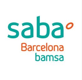 Parking Saba Bamsa Plaça Catalunya - Rambles