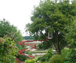 Jardin'Art image 6