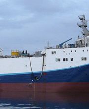 Progener-8.jpg