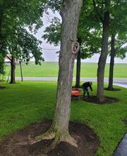 Aman Landscaping image 18