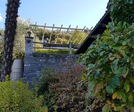 BaumGärtner - Giardini Bild 9