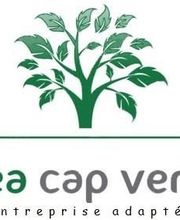 EA Cap Vert image 3