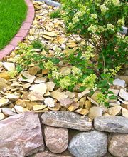 Landschaftsbau Nord Bild 15