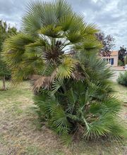 Tendances Paysage image 6