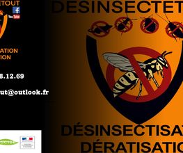 Désinsectetout image 12