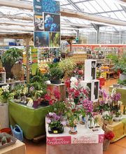 Gamm Vert - Villefranche de Rouergue image 9