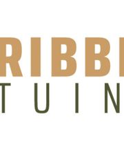 Ribbers Tuinen afbeelding 4