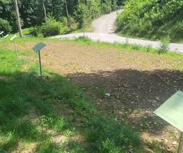 FriedWald Starzach Bild 2