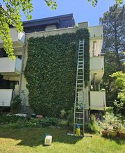 Urban Münchner Baumpflege GmbH Bild 13