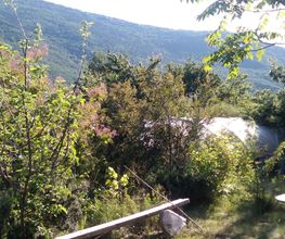 Le Petit Jardin image 2