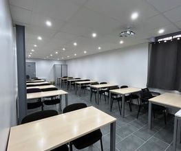 HECG image 6