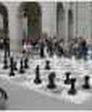 Vertalen Duits P de Vries Vertalingen afbeelding 2