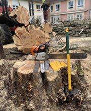 Entrepreneur Travaux Forestiers Petitgirard image 5