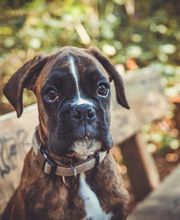 Adler Photographie Fotostudio mit Herz Bild 4