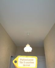 Shad Peinture image 1