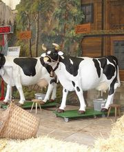 event-creation GmbH Bild 2