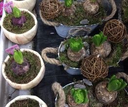 Vive Le Jardin image 10