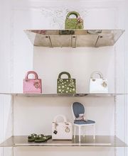 DIOR image 5