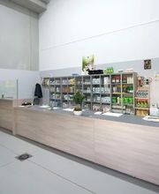 Gallery Cliente