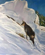 Cedat Marie-Joëlle image 5