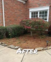 The Pine Needle Man Landscaping LLC image 14