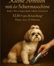 Screenshot 2025-10-23 172534.png