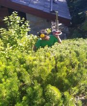 Montagne Verte image 1