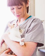 Westwood Regional Veterinary Hospital image 9