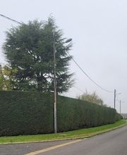 Auffargis Espaces Verts image 2