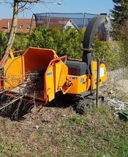 BRÜHWILER-GARTENBAU, BAUMPFLEGE Bild 3