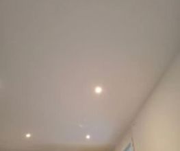 Trielec image 6