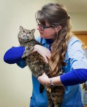 Rockford Veterinary Clinic image 3