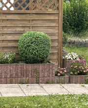 IMG_2472.jpeg